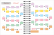 Planner Feminino 2025
